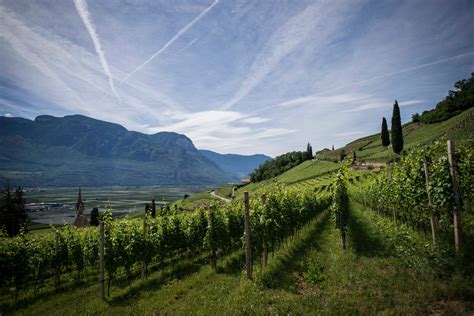 Peter Zemmer Gew Rztraminer Alto Adige S Dtirol Doc