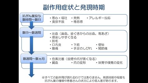 がん薬物療法とその副作用について Youtube