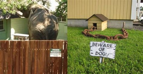 Funny 'Beware of the Dog' Signs That Are Probably More Scary Than The ...