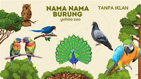 Nama Nama Burung Belajar Jenis Burung Merpati Beo Kakatua