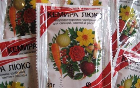 Удобрение «Кемира» («Фертика»): виды и особенности применения