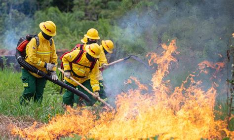 Los Incendios Forestales Azotan Al De Los Municipios Del Pa S Con