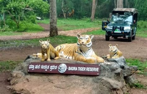 Bhadra Wildlife Sanctuary Chikmagalur 2020 What To Know Before You