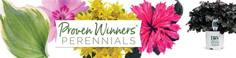 Proven Winners® Perennials Signage | Proven Winners