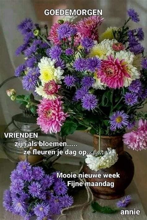 Fijne Maandag Bloemen Beste Plaatjes