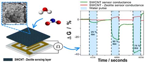 使用沸石控制基于碳纳米管的气体传感器对水的交叉敏感性acs Applied Materials And Interfaces X Mol