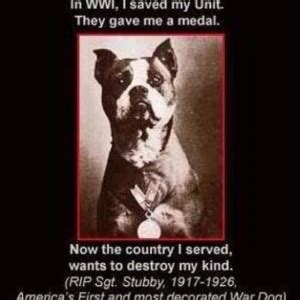 War Dog Quotes. QuotesGram