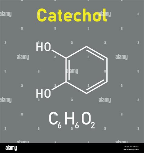 Chemical Structure Of Catechol C6H6O2 Chemical Resources For