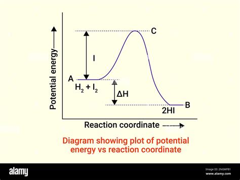 Diagram showing plot of potential energy vs reaction coordinate Stock ...