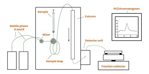 How To Read A Size Exclusion Chromatography Graph At Dorothy Isabelle Blog