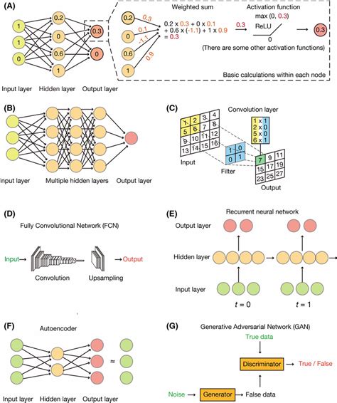 Common Architectures Of Neural Networks A The Simplest Neural Network