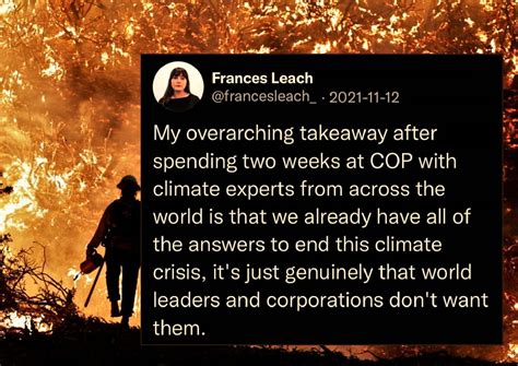 They Don T Give A Fuck About You R Collapze