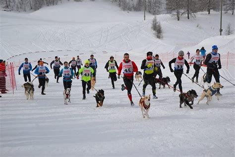 Canicross Blanc Arvieux En Queyras Beno T Lan On Coach Runner