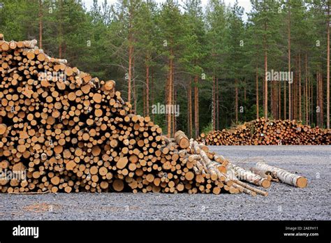 Lumber yard hi-res stock photography and images - Alamy