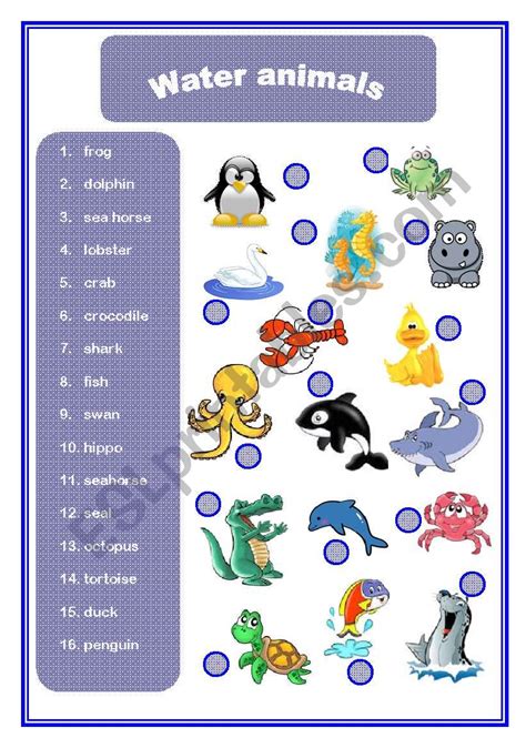 Water animals - ESL worksheet by AACG