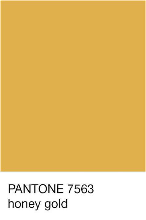 Honey Gold Pantone 7563 | Color Palette Design