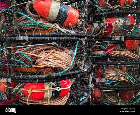 Lobster And Crab Traps With Buoys Stock Photo Alamy