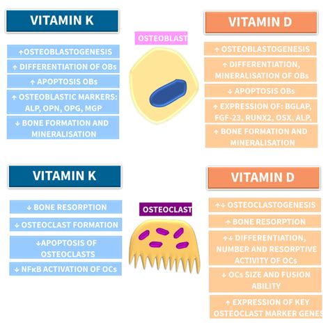 vitamin    supplementation  bone health  chronic kidney