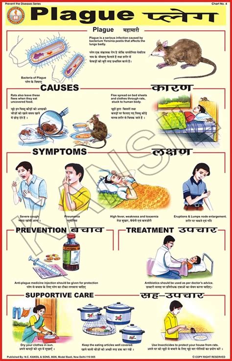 Natural Color Laminated Paper Plague For Prevent Diseases Chart Size