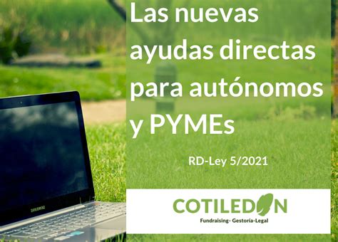 Real Decreto Con La L Nea De Ayudas Directas A Pymes Y Aut Nomos