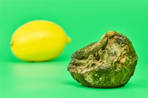 Premium Photo Rotten Lemon And Fresh Lemon Compare Green Background