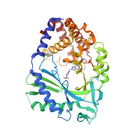 RCSB PDB 7FUM Crystal Structure Of Human Cyclic GMP Synthase In