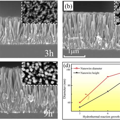 Sem Images Of Top View And Cross Section Of Zno Nanowires Prepared With