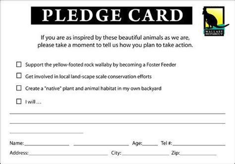 30 Donation Pledge Card Template