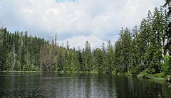 Category Prášilské jezero Wikimedia Commons