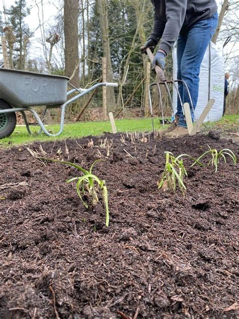 Zo Gezond Is De Bodem In Je Tuin Test Verbeter Gardeners World