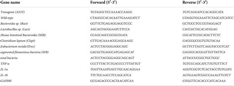 Frontiers Rotenone Aggravates Pd Like Pathology In A53t Mutant Human