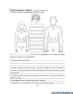 La pubertad Idioma español o castellano Curso nivel 5 Asignatura