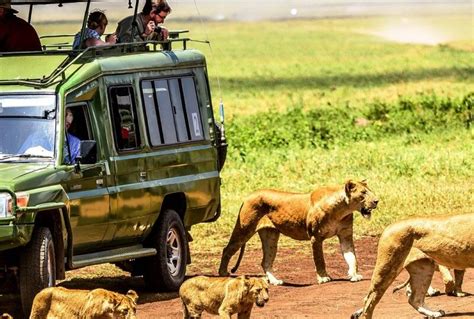 Days Lake Manyara Ngorongoro Serengeti Tarangire Holiday Tours In