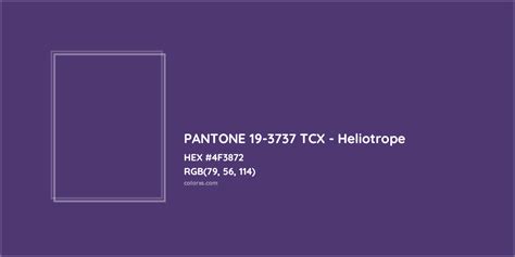 About PANTONE 19-3737 TCX - Heliotrope Color - Color codes, similar colors and paints - colorxs.com