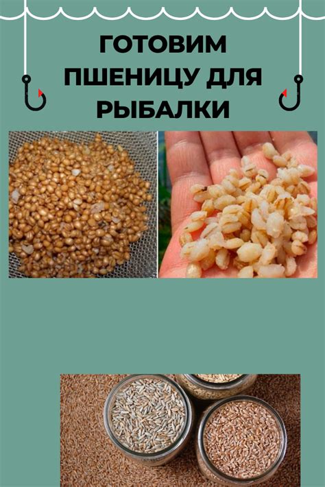 Пшеница для рыбалки | Рыбалка, Хитрости рыбалки, Советы для рыболова