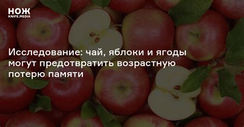 Исследование: чай, яблоки и ягоды могут предотвратить возрастную потерю ...