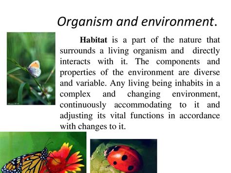 Autecology Idioecology Or Individual Ecology Online Presentation