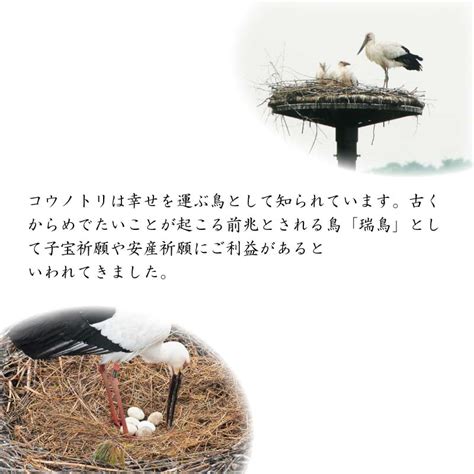 【楽天市場】令和6年産 新米 食べる健康！食べる貢献！生命を育むお米 コウノトリ育むお米 減農薬 無化学肥料 贈答用 450g（3合） 贈答