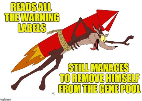 wile  coyote imgflip
