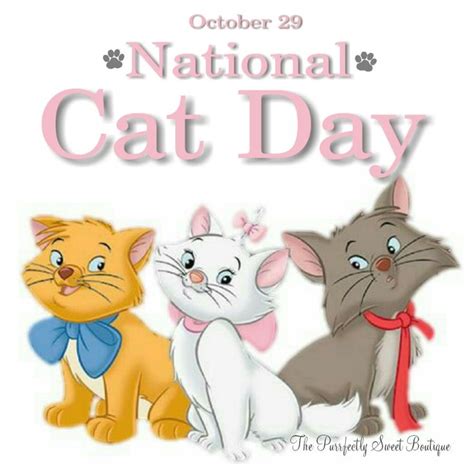 National Cat Day October 29th Nationalcatday Cats Petholiday