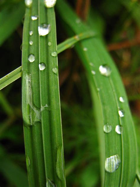 Why Hydroterra? - Hydroterra (Airdrie, Crossfield, and Didsbury)