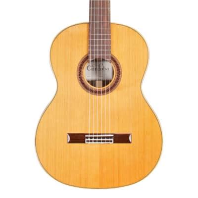 Raimundo Model 145 Palo Santo Flamenco Guitar Reverb UK