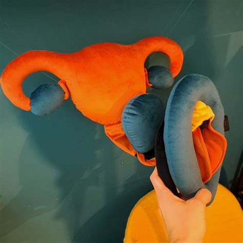 Vulva 2 0 Detachable Clitoris Uterus And Bladder Pink Pillow Set Plushy Puppets For Sex