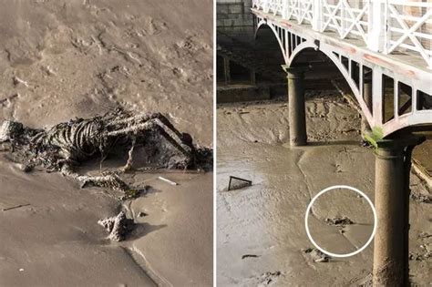 Is This Really A Skeleton Washed Up In The Thames Gruesome Sight Has