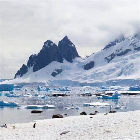 Danco Island Panorama Antarctica See Ming Lee Sml 李思明