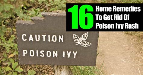 16 Home Remedies How To Get Rid Of Poison Ivy Rash