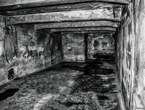 Освенцим Фото Газовых Камер — Фото Картинки