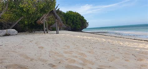 Strand Sultan Sands Island Resort Kiwengwa Beach HolidayCheck