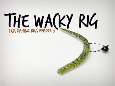 The Wacky Rig Bass Fishing Rigs Series Youtube