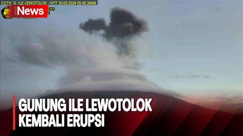 Gunung Ile Lewotolok Kembali Erupsi Pagi Ini Semburkan Api Setinggi 1